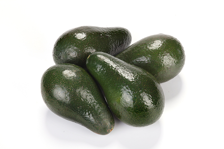 Arad Avocado