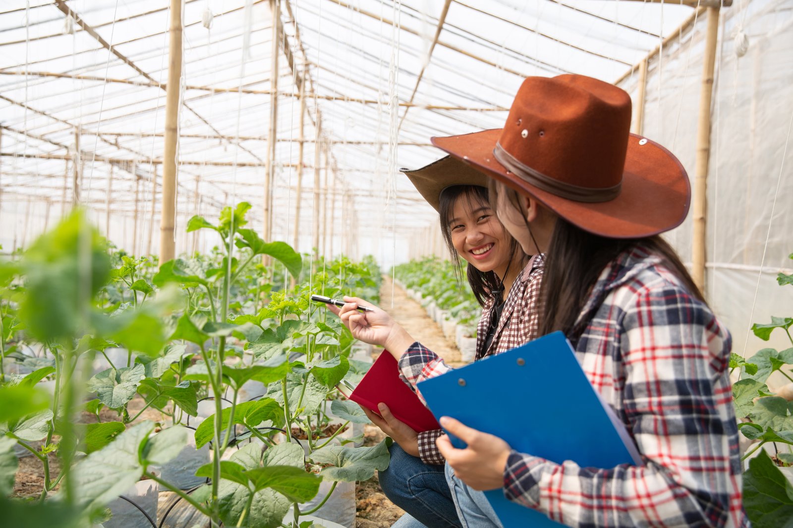 Consultancy & Training - Exotic Fruit Experts